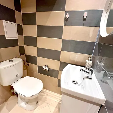 Winter Palace Vitosha View *