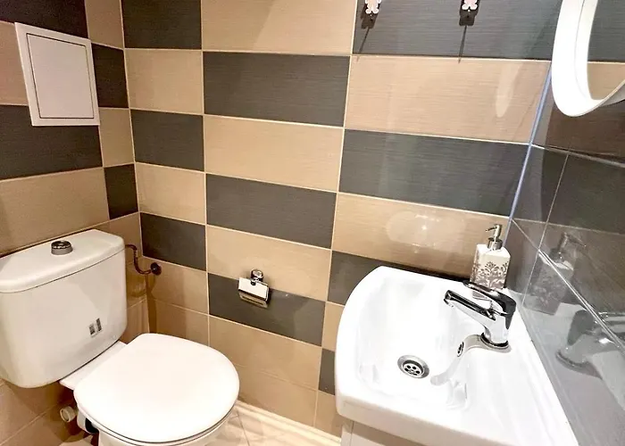 Winter Palace Vitosha View *